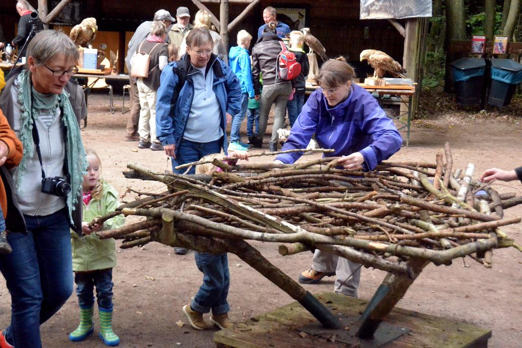 Besucher bauen einen Adlerhorst