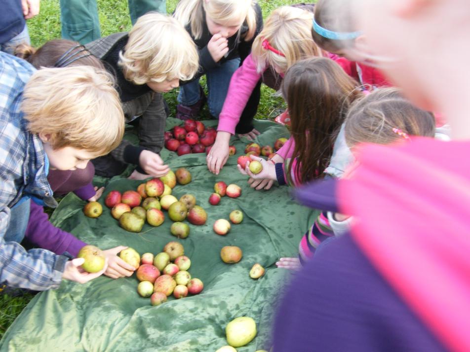 Es lebe der Apfel!  