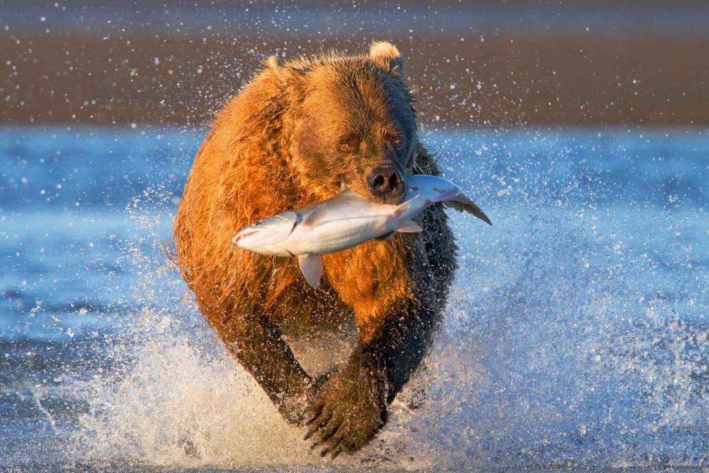 Abenteuer Naturfotografie