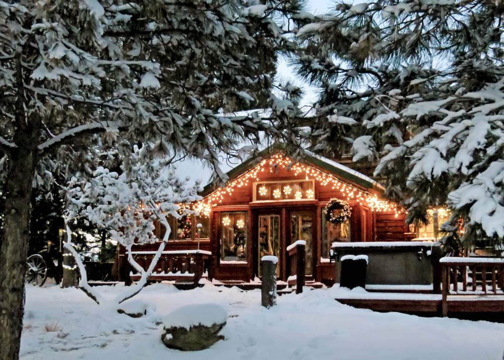 Hof Ansgarius mit weihnachtlichem Paradies 