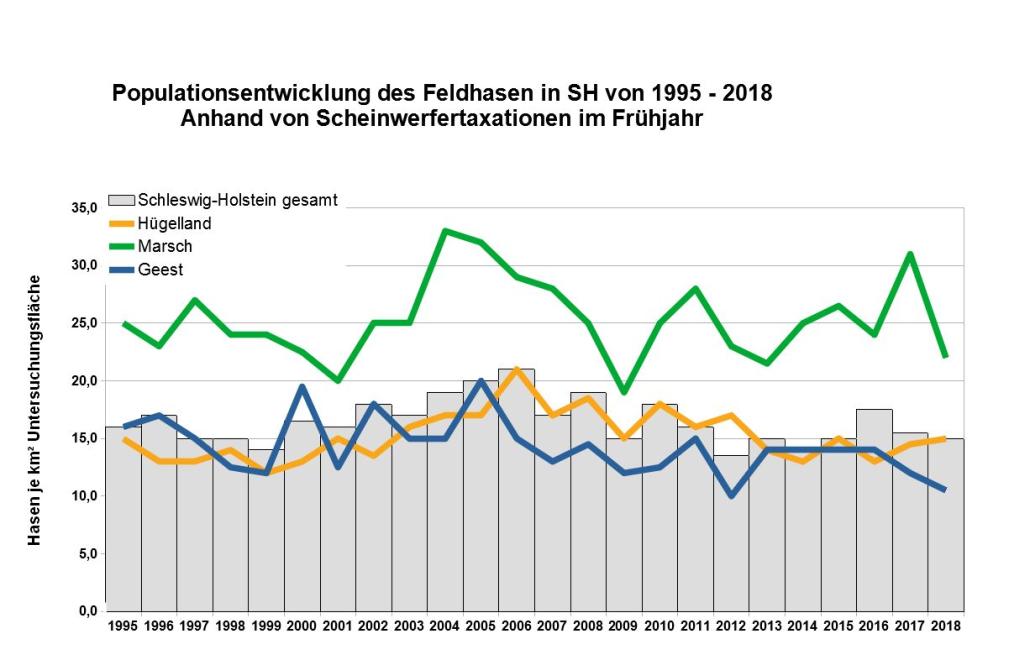 Anzahl der Hasen bleibt stabil