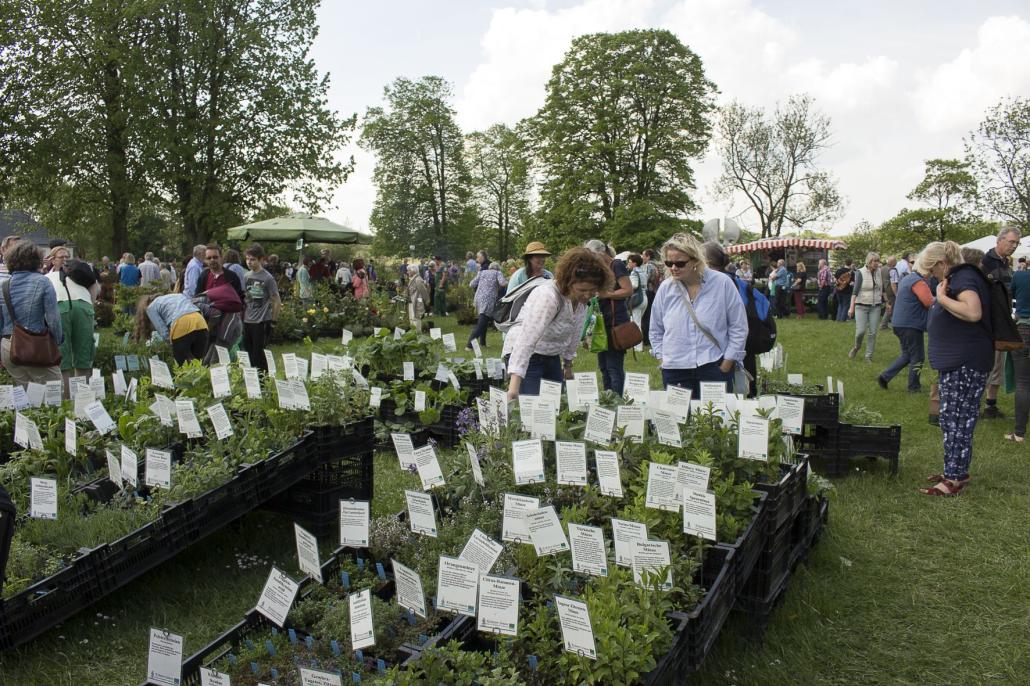 Ökomarkt unter freiem Himmel