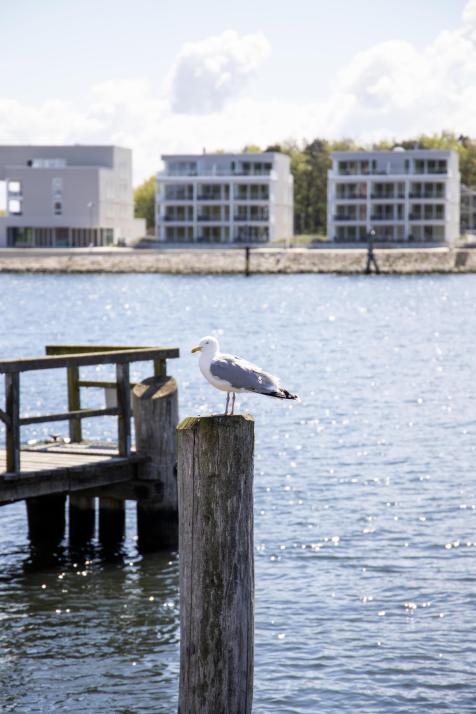 Das Förde Fräulein in Travemünde