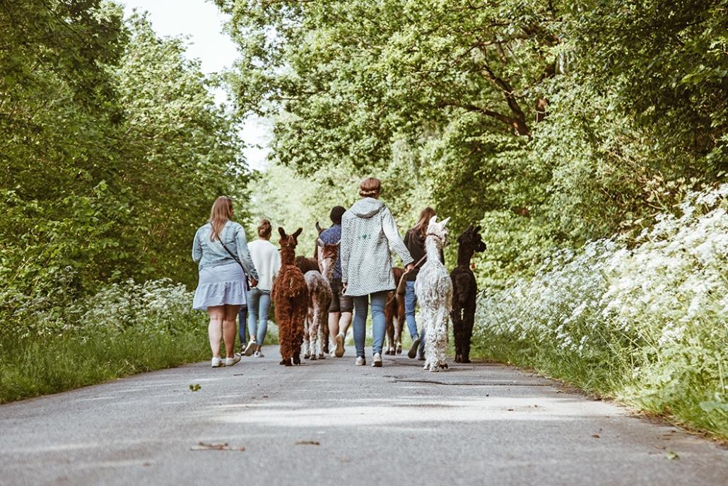 Der Spaziergang hat uns allen wirklich gut getan!