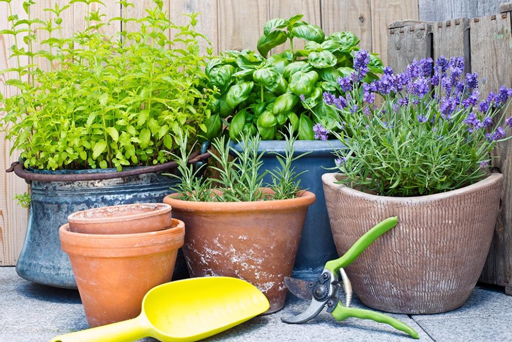 Kräuter lassen sich ganz wunderbar auf dem Balkon selbst ziehen – aber auch anderes Gemüse wächst schnell und einfach!