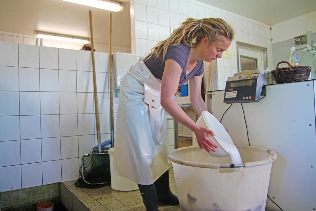 Milligramm-Arbeit: Tanja bereitet die Salzlake vor. Auf 18 Kilo frischen Fisch
werden Wasser und Salz hinzugegeben