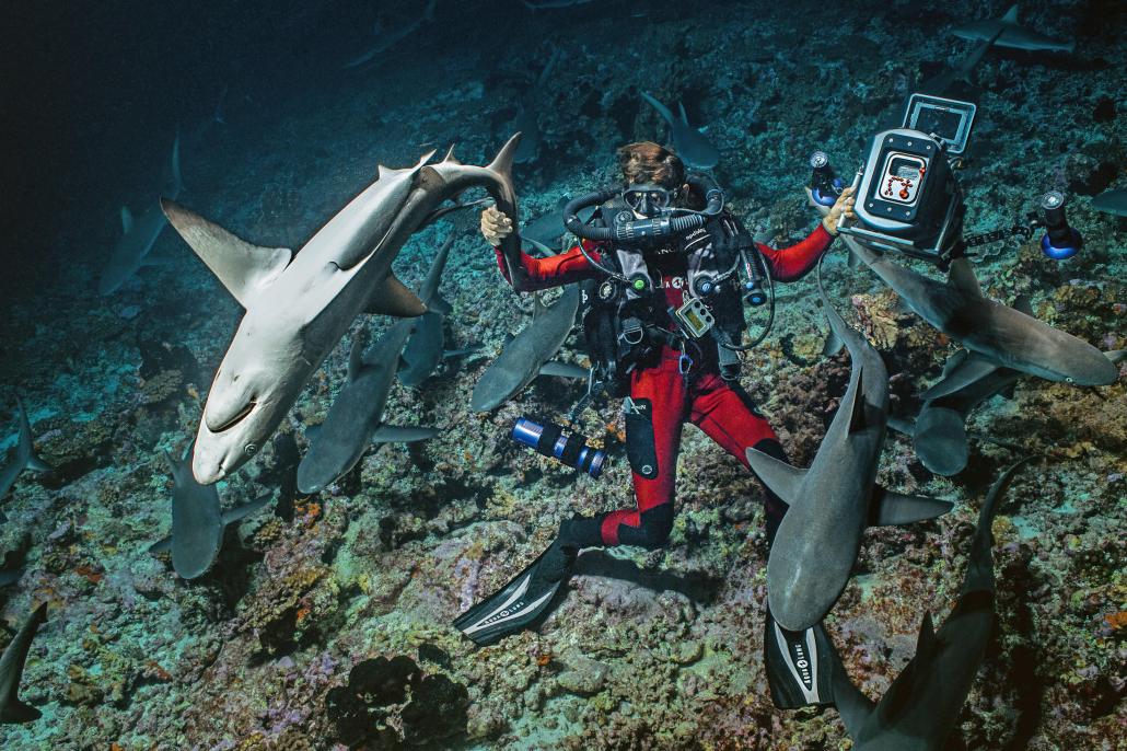 Für „700 Sharks“ tauchte ein Forscher-Team in Französisch-Polynesien hinunter zur weltgrößten Gruppe Grauhaie