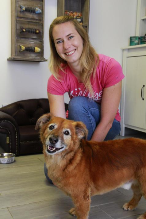 Chico beim Friseur:

Das KIELerleben-Team muss auch mal zum Friseur. Zumindest war es bei Redaktionshund Chico nach einem Bad im Misthaufen soweit. Das Ergebnis konnte sich sehen lassen.