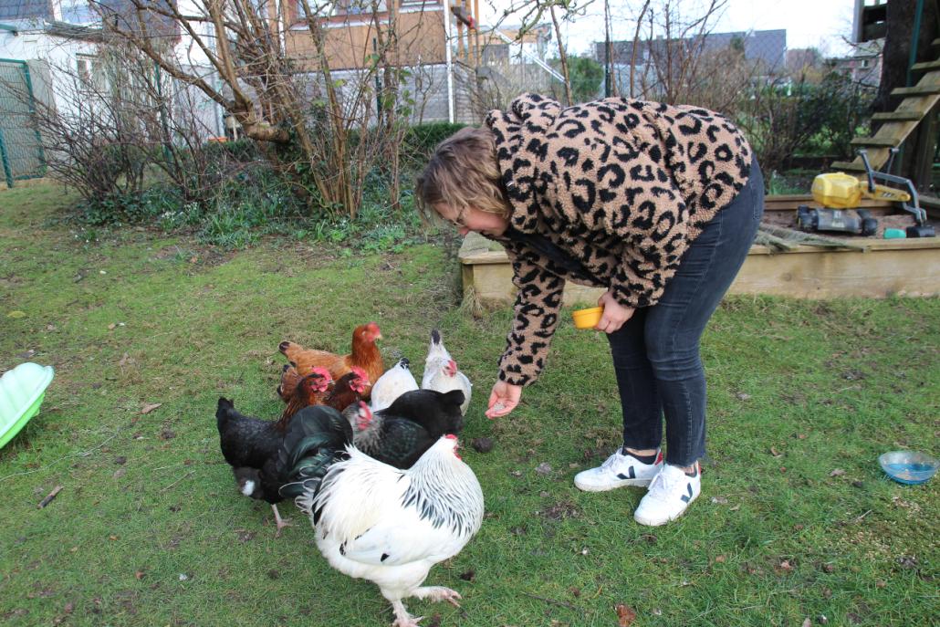 Tägliche Routine: Wenn Esther etwas Zeit mit ihren Hühner verbringen möchte, lockt sie diese mit ein paar Körner an, um sie zu füttern – das
funktioniert immer 