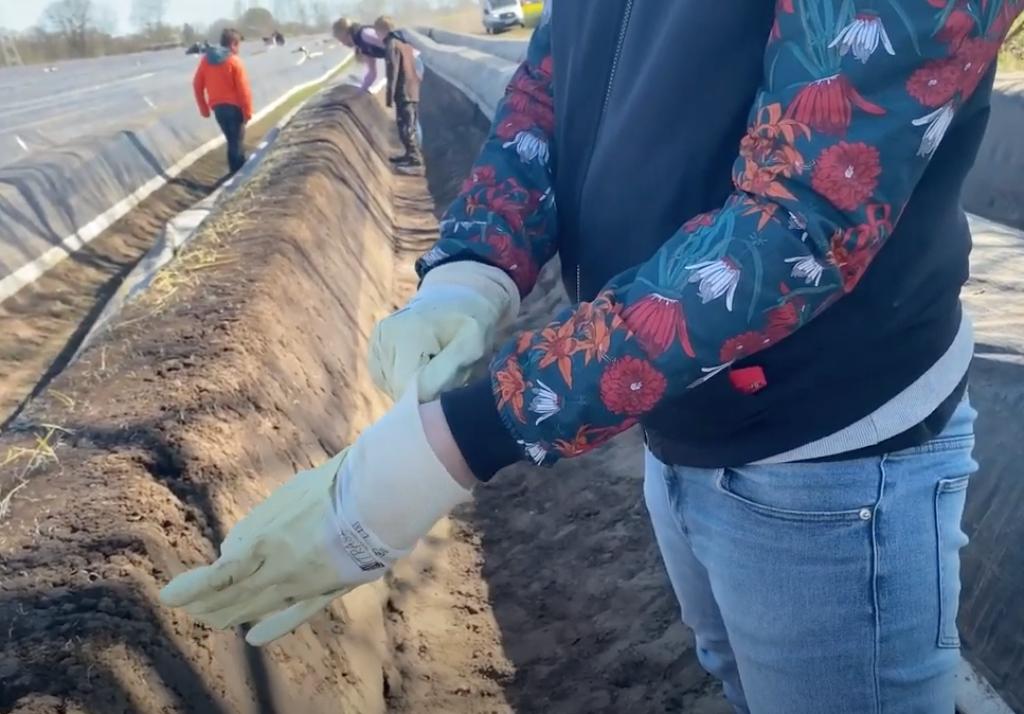 Mit Handschuhen und dem richtigen Werkzeug mache ich mich an die Arbeit.