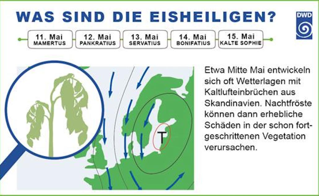 Verhageln Eisheilige den Frühling?