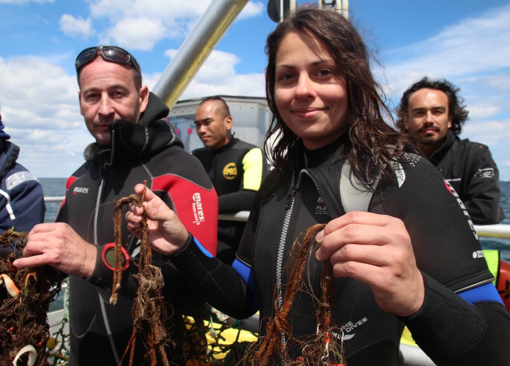 Die Taucher der Scientific Diving Association suchen in der Ostsee nach Geisternetzen und Plastikmüll