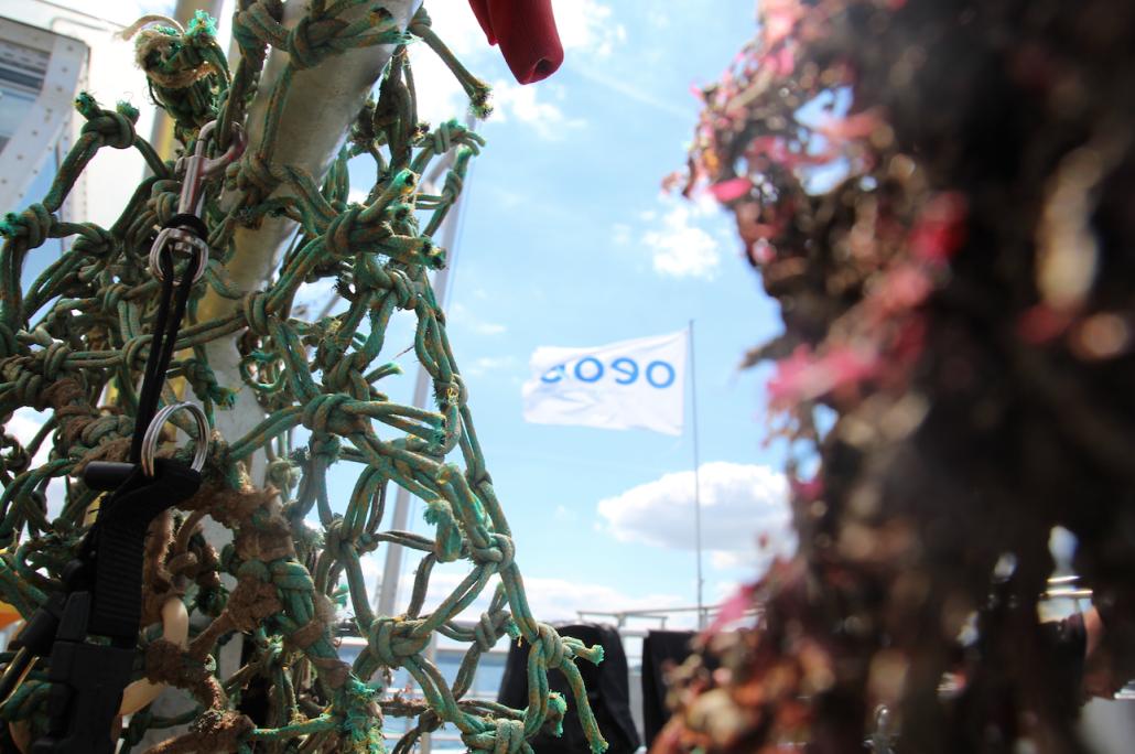 Beim letzten Tauchgang bargen die Umweltschützer von OEOO ein zwölf Meter langes Geisternetz