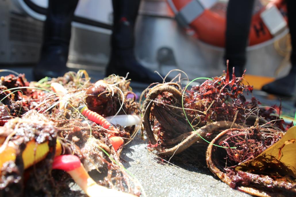 Das gefährliche Gut: „Geisternetze“ lösen sich zu Mikroplastik auf und werden zur Todesfalle für Meerestiere