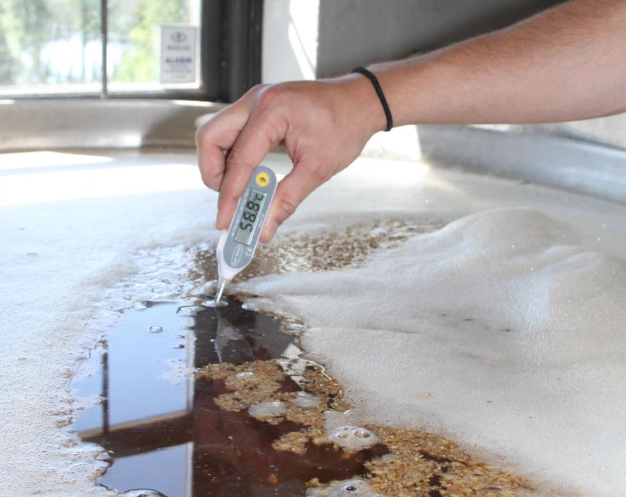 Gradwanderung: der Sud darf eine Temperatur von 60 Grad Celsius nicht überschreiten, bevor er in die Tanks zur Gärung abgefüllt werden kann