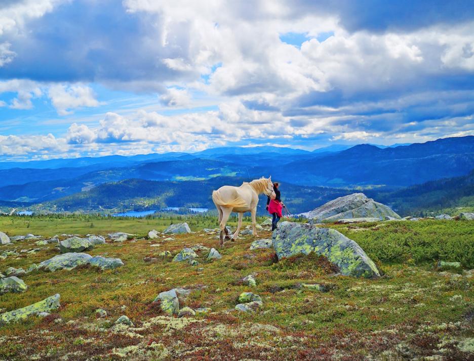 Carls Frau Anna hat ihre Pferde später nach Tuddal in Norwegen geholt