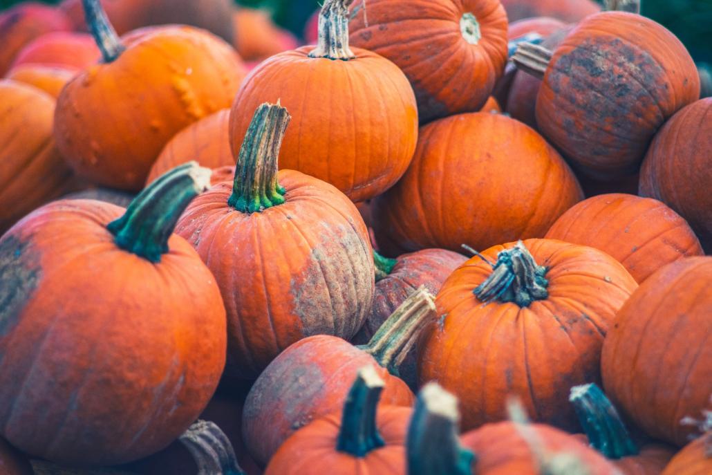 In allen Formen und Farben lecker: der Herbstklassiker Kürbis