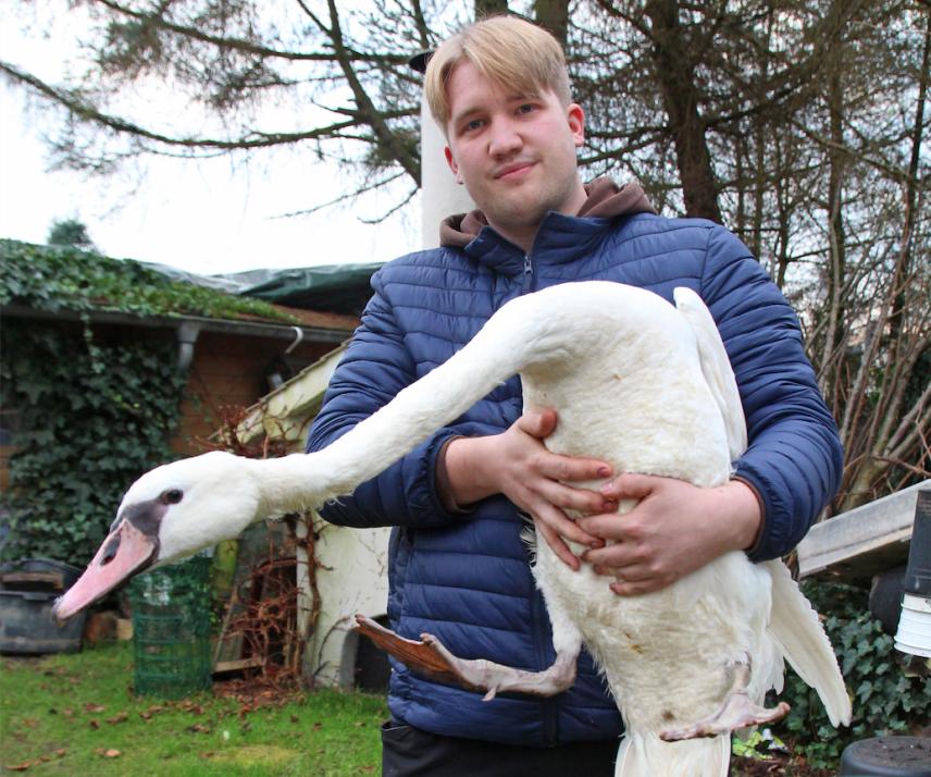Milan Fahrenkrug päppelt im heimischen Garten verletzte Tiere wie Schwäne, Vögel und Igel wieder auf.
