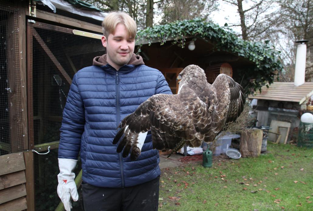 Jung-Falkner päppelt Tiere wieder auf