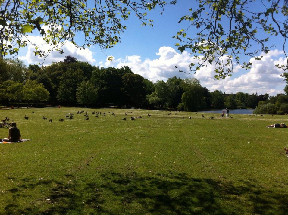 Rücksicht für ein gutes Miteinander im Schrevenpark