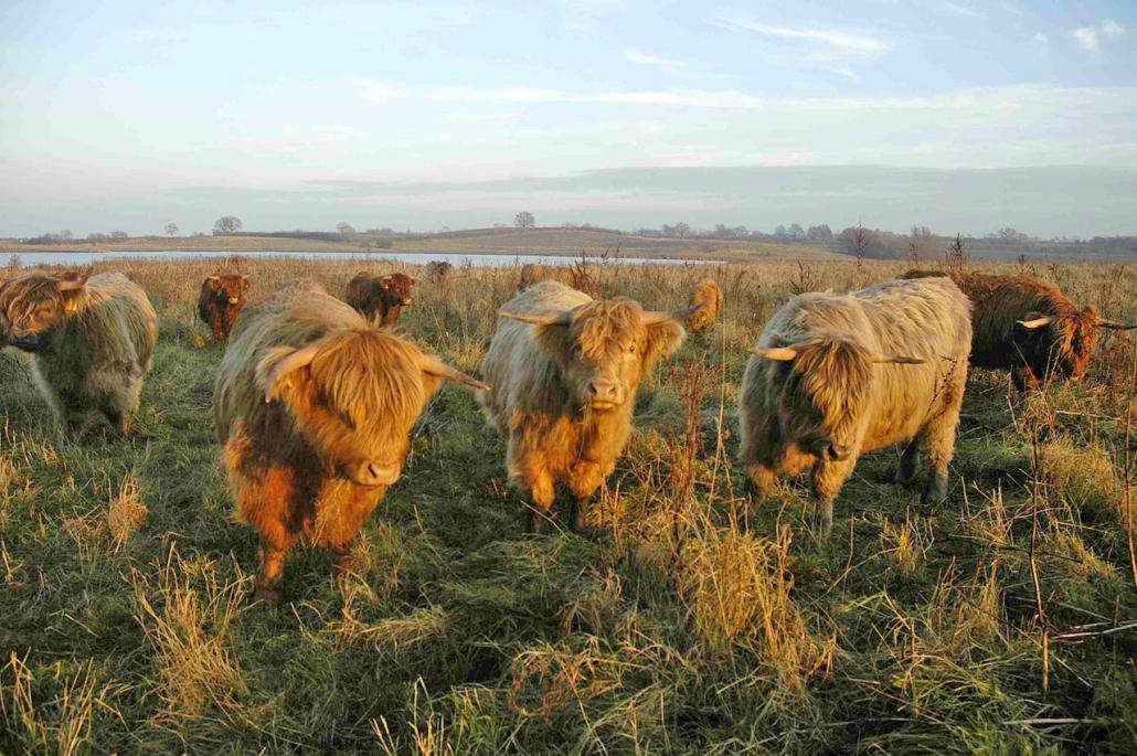 Hier könnt ihr Tiere in ihren natürlichen Lebensräumen erleben.