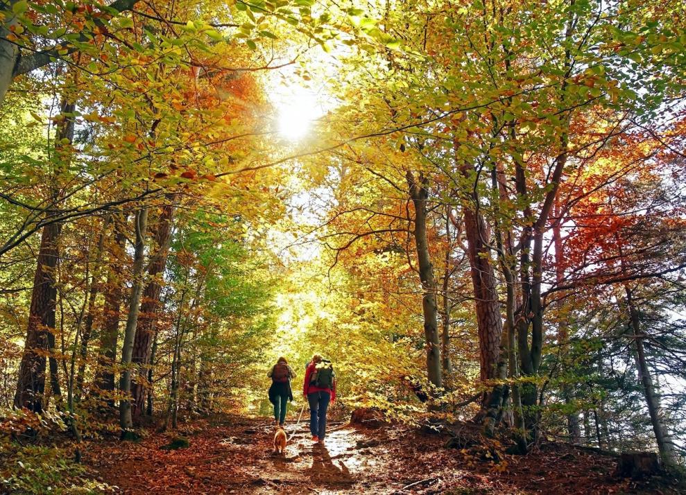 Wir geben euch vier Tipps, wie ihr die verschiedenen Herbsttage je nach Lust und Laune verbringen könnt.