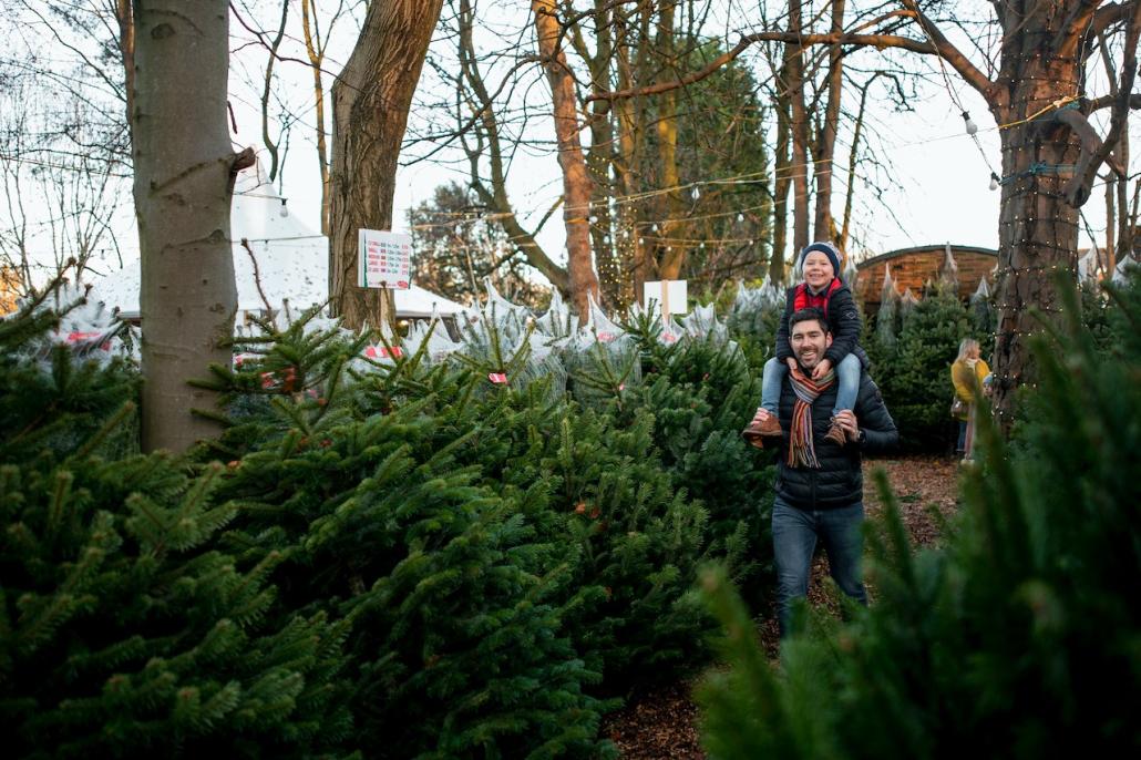 Kieler Wintermärkte und Weihnachtsbaumverkauf