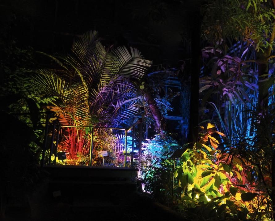 Botanischer Garten leuchtet in allen Farben