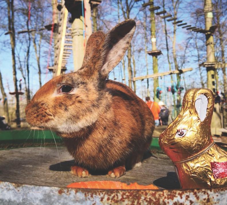 Das geht an Ostern in Kiel