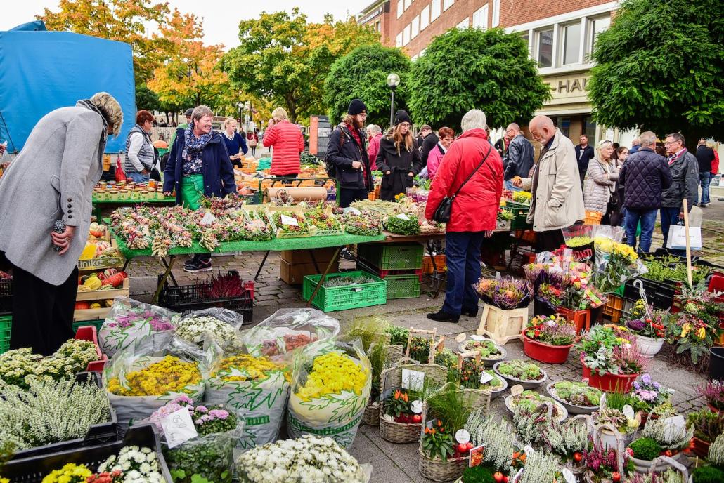 Welche Herbstmärkte finden in Kiel und Umgebung statt?
