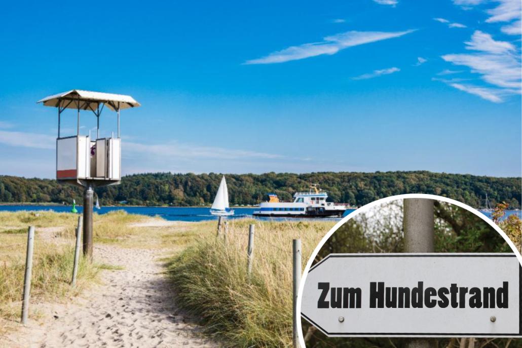 Im Sommer gibt es für Zwei- und Vierbeiner am Falckensteiner Strand einige Regeln zu beachten.