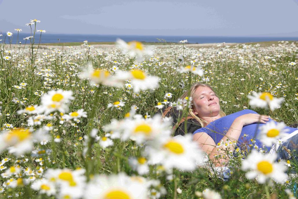 Naturgenussfestival: Facettenreich und bildend