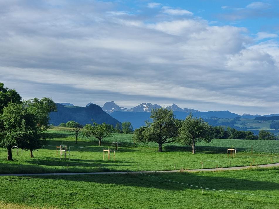 Was ein Kieler in der Schweiz erlebte