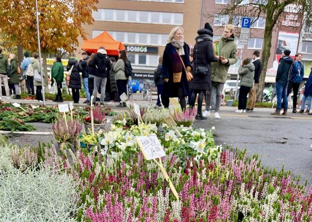 Kiel backt Plätzchen auf dem Exer