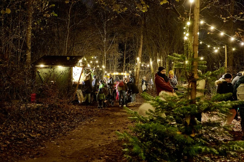 Waldweihnacht im ErlebnisWald Trappenkamp