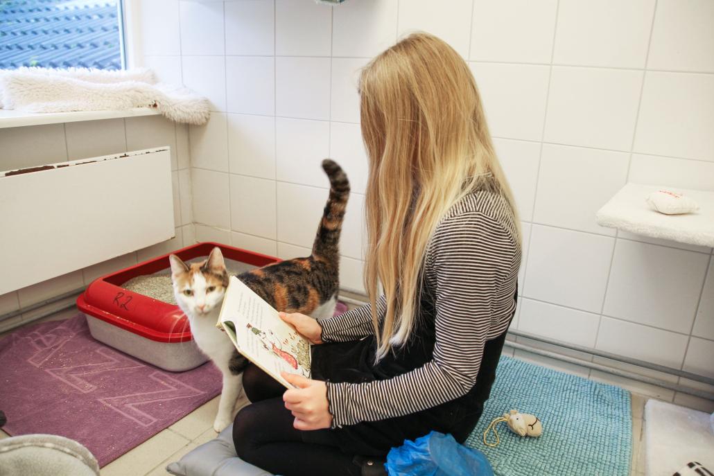 Auch Vorlesekind Mia hatte große Freude daran, den Tierheimkätzchen vorzulesen.