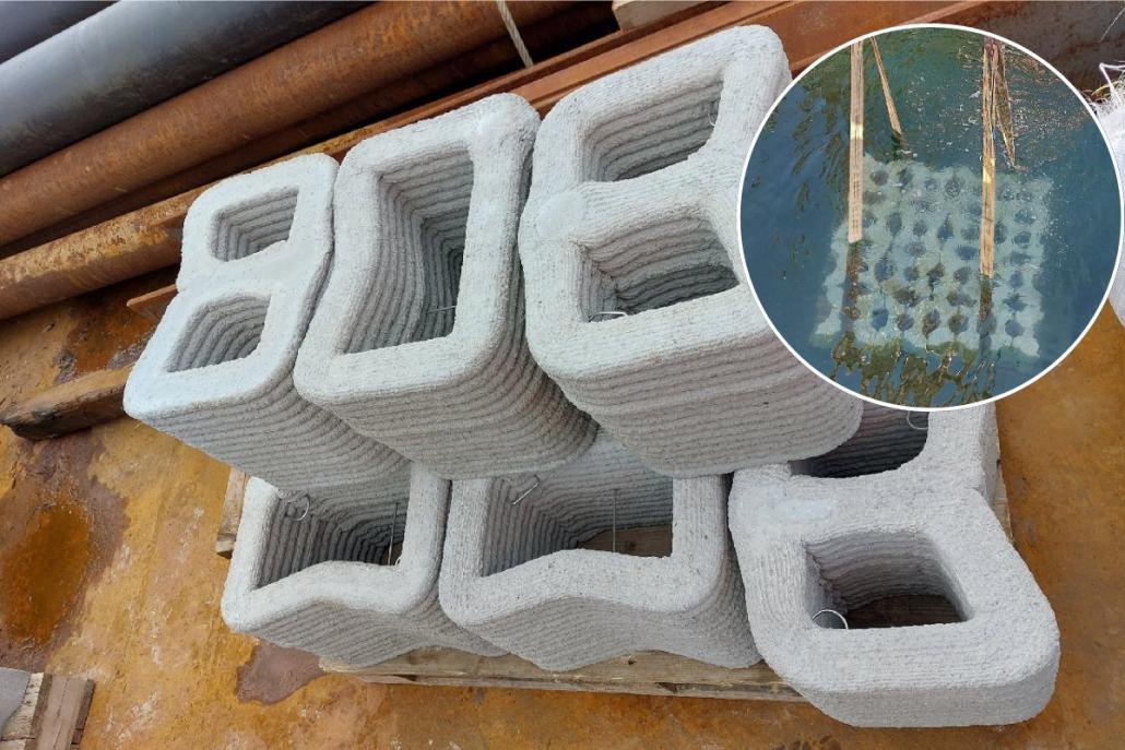 Ein Riff für morgen: CO₂-arme Betonelemente und Natursteine schaffen neuen Lebensraum in der Kieler Förde.