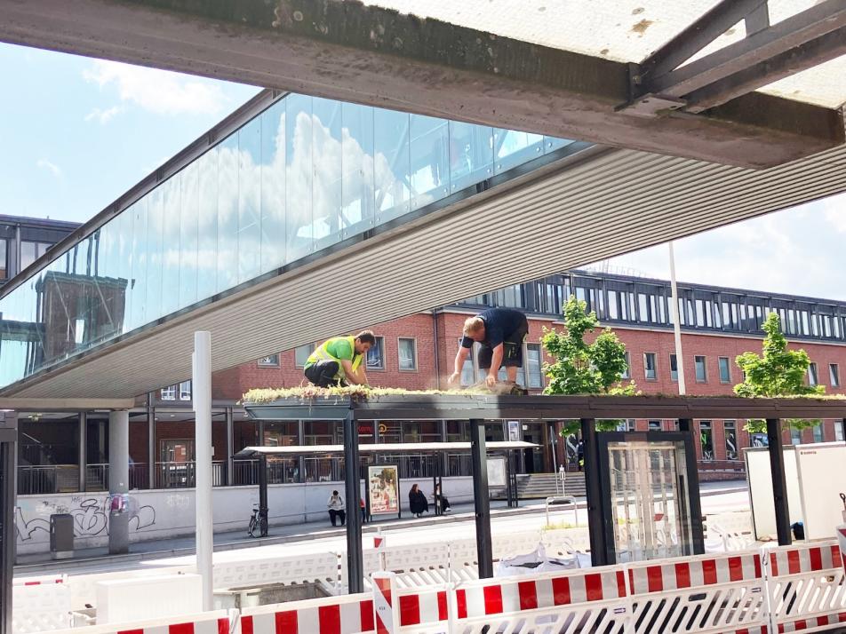 Grüner Warten – direkt am Hauptbahnhof