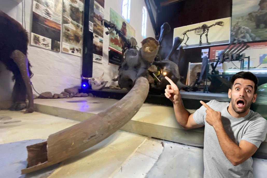 Das Museum ist nach dem Zusammenbruch des Mammutskeletts auf finanzielle Unterstützung angewiesen.