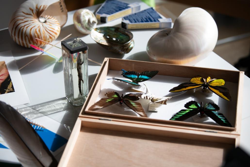 Wissenschaft zum Mitmachen in Kiel