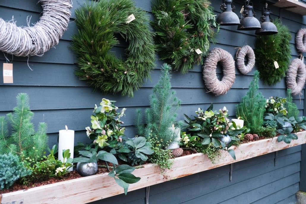Adventsausstellung in Nortorf bei Gärtnerei Schnack