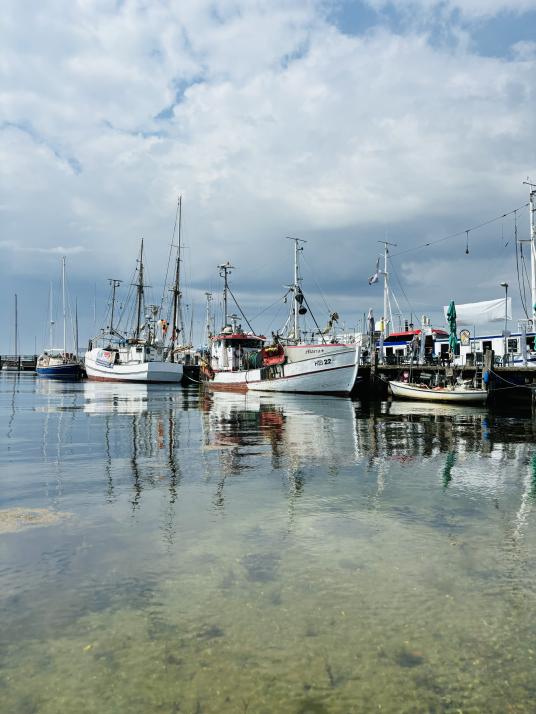 4 Tipps fürs Spazieren im Kieler Umland