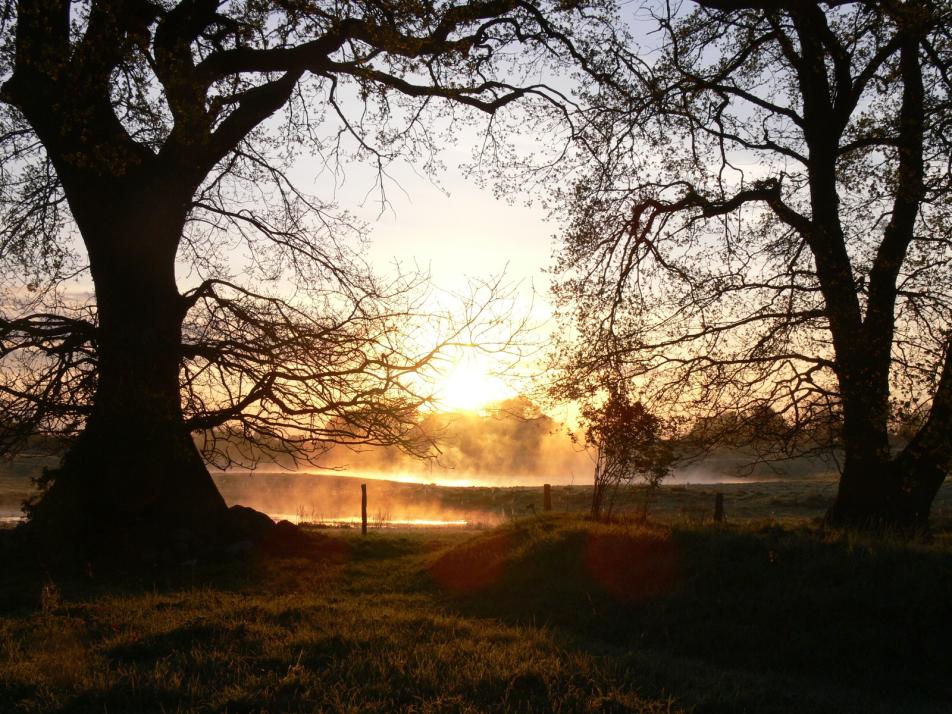 Raus aus dem Alltag, rein in die Natur