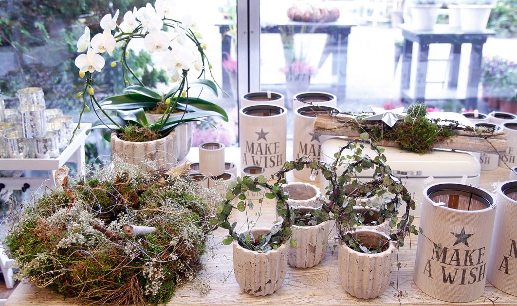 Schönes entdecken bei Blumen Pfeiffer | KIELerLEBEN | KIELerleben