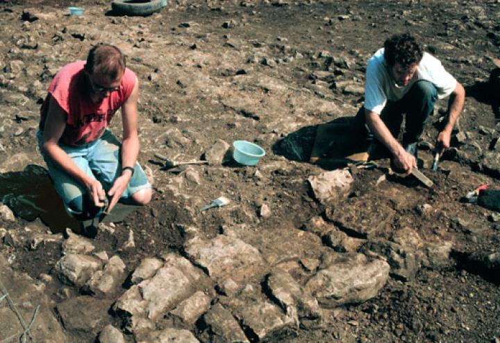 Geld für Archäologisches Verbundprojekt 