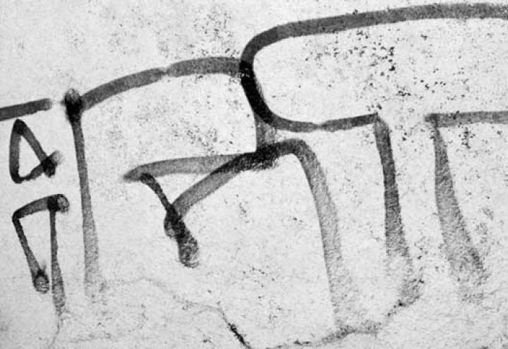 Graffiti-Sprayer erwischt und festgenommen 