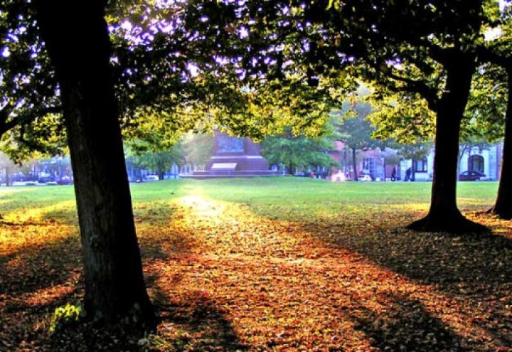 Fotowettbewerb: So schön ist Kiel im Herbst 