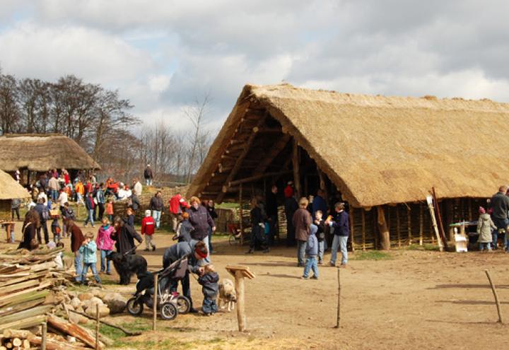 Ein Tierpark als Arche für bedrohte Rassen 