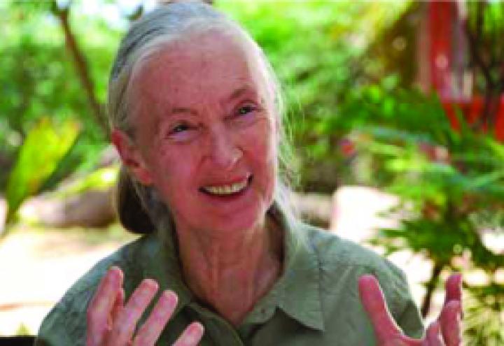 Jane Goodall zu Gast in Kiel 