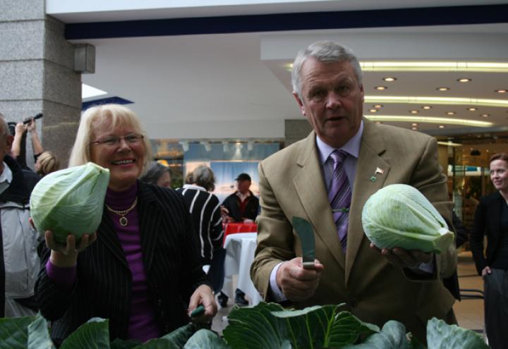 Kohl kulinarisch 
